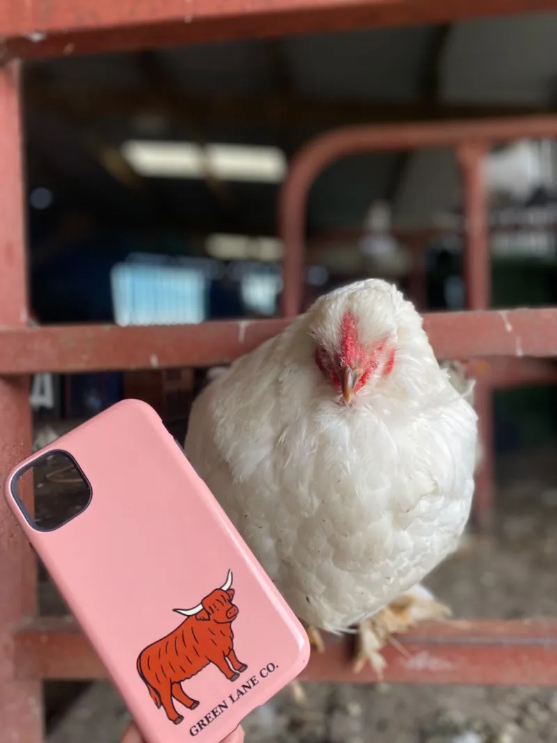 Green Lane Co Custom iPhone case in Pink