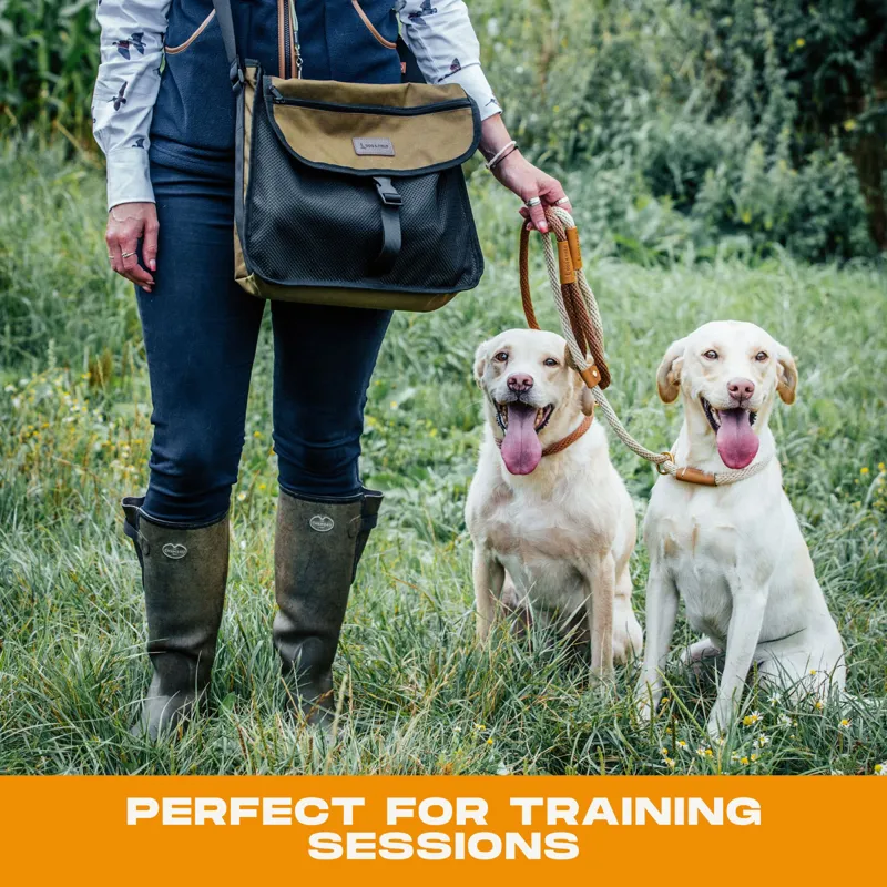 Dog And Field Game / Dummy Bag-7
