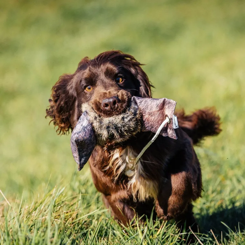 Dog And Field The Original Clone Rabbit Dummy-4