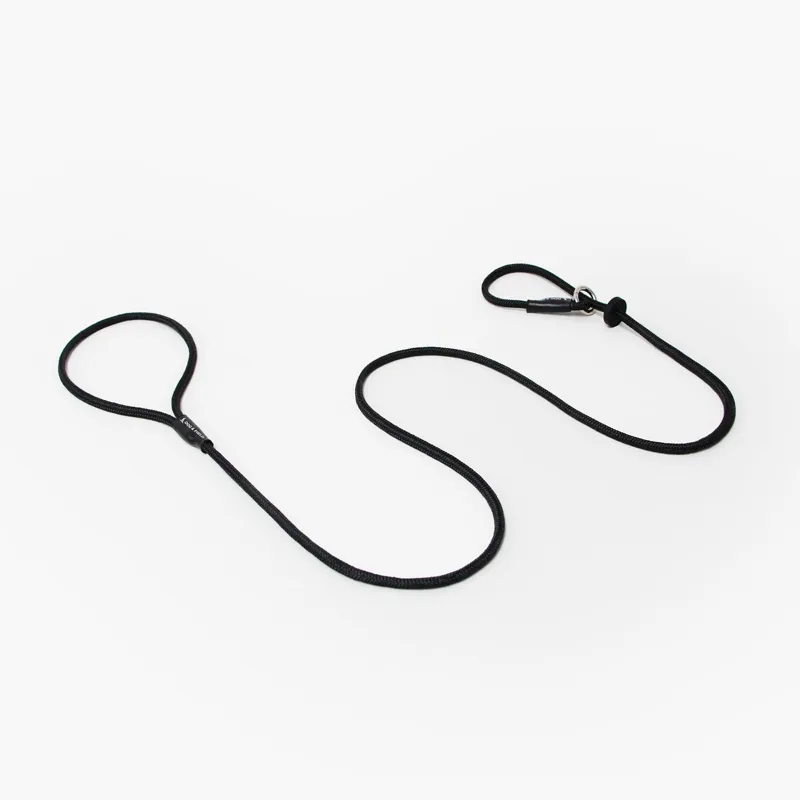 Dog And Field Signature Slip Lead-2