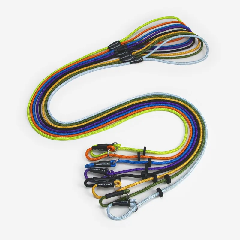 Dog And Field Signature Slip Lead-6