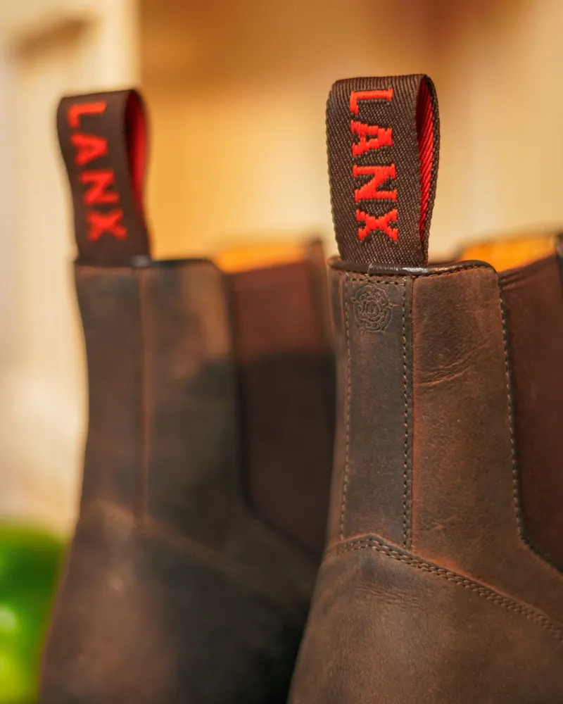 LANX Reed in Brown-4